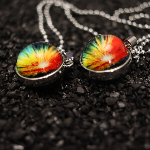 Collar Erizo - Imagen 3