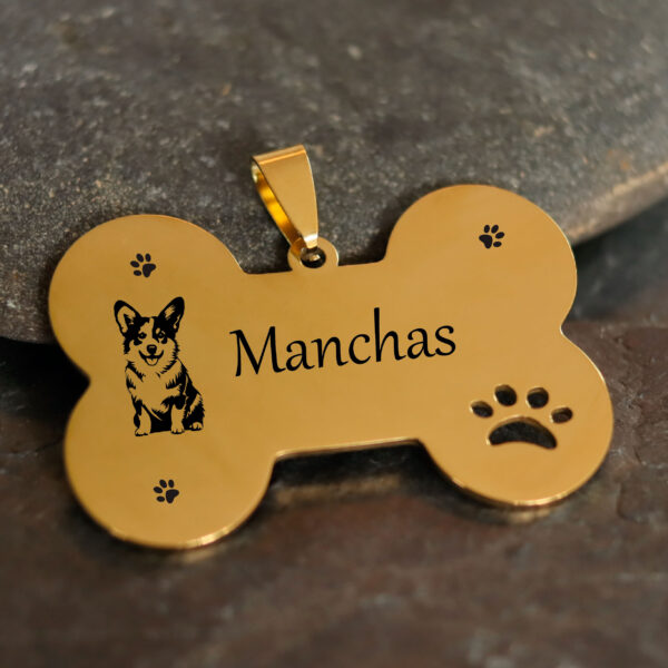 PLACA HUESO DORADA - Imagen 2