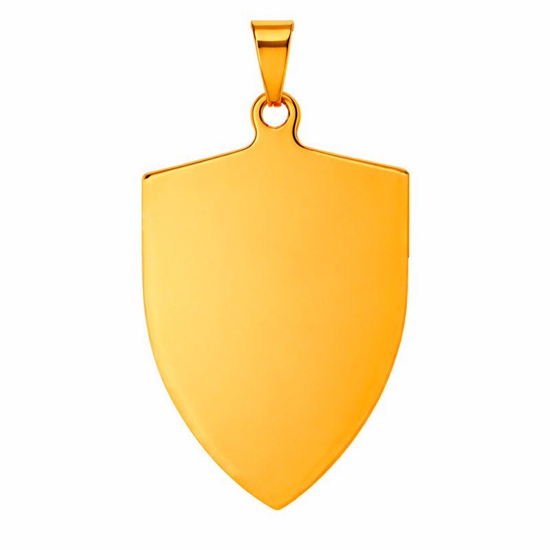 PLACA ESCUDO DORADO - Imagen 3